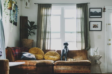 home curtains