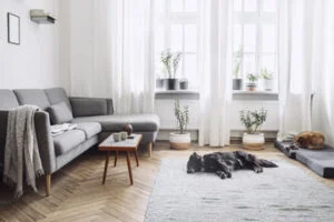 living room curtains