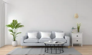 living room curtains