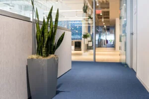 office carpets