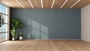 wall to wall carpets