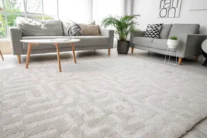 living room carpets