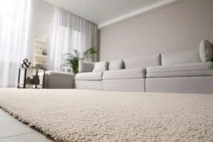 wall to wall carpets