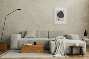 living room carpets