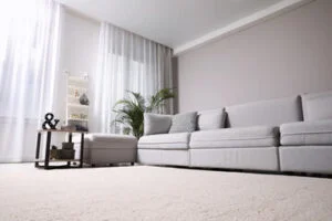 living room carpets