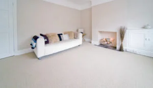 living room carpets