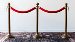 exhibition carpets