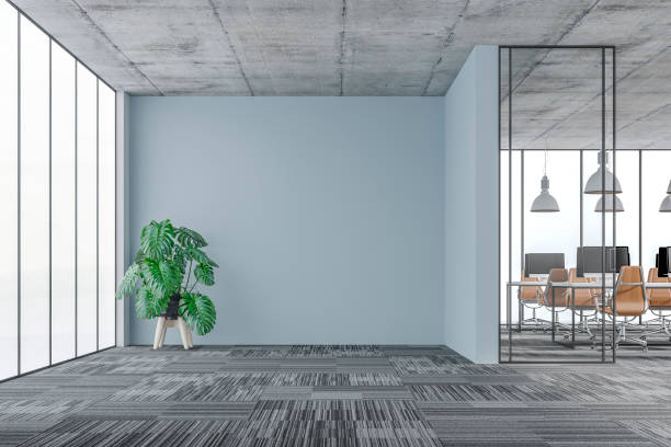 wall to wall carpets