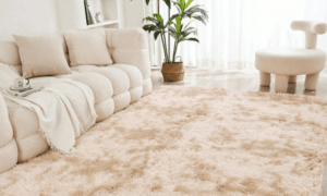Home Carpets