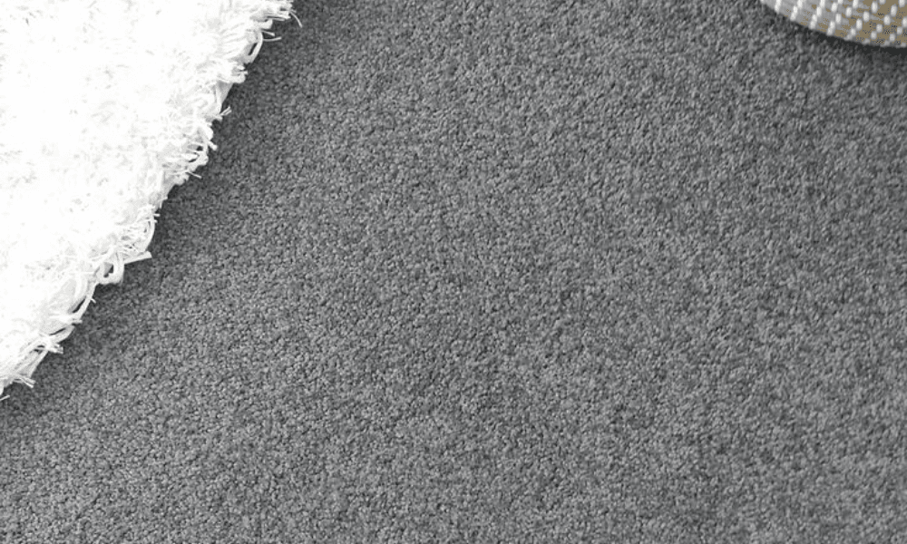 Beige Carpet