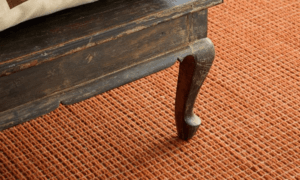 Orange Carpet