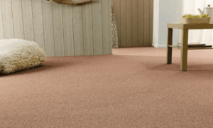 Beige Carpet