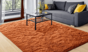 Orange Carpet