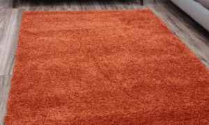 Orange Carpet