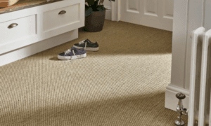 Beige Carpet