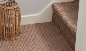 Sisal Carpets