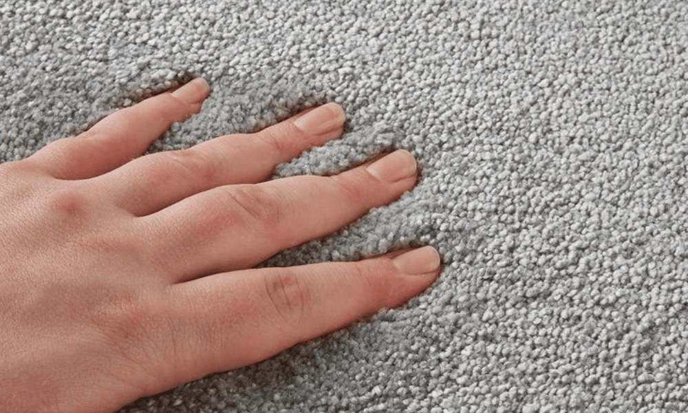 Beige Carpet