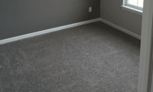 Beige Carpet