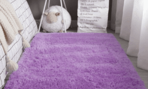 Home Carpets