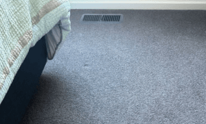 Beige Carpet