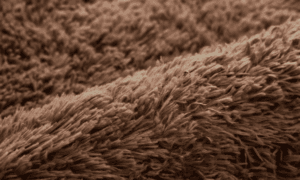 fluffy carpet