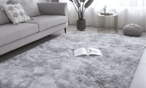 Home Carpets