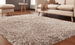Drawing Room Carpet