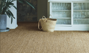 Sisal Carpets
