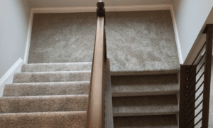 Beige Carpet