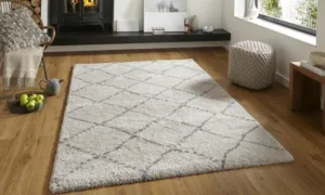 Berber Carpet
