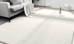 fluffy carpet