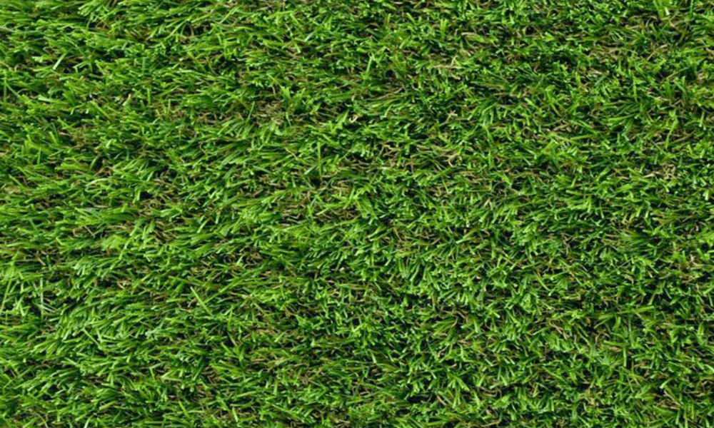 Grass Carpets In Dubai