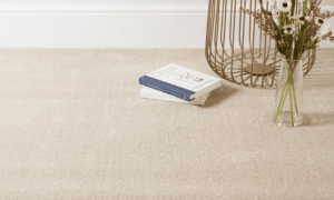Beige Carpet
