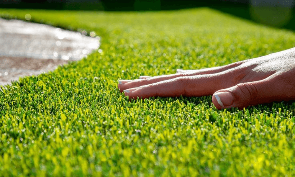 Grass Carpets In Dubai