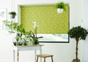 Printed Blinds in Dubai