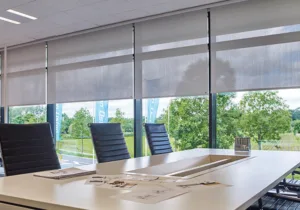 School Blinds in Dubai
