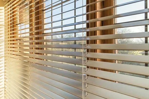 Vertical blinds