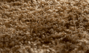 BROWN RUGS DUBAI