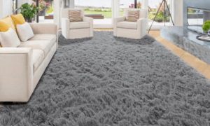 living room rugs