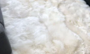 OFF WHITE RUGS DUBAI