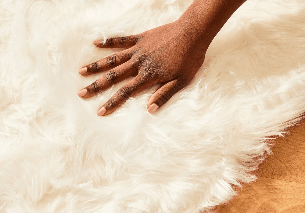 Shag Rugs Dubai