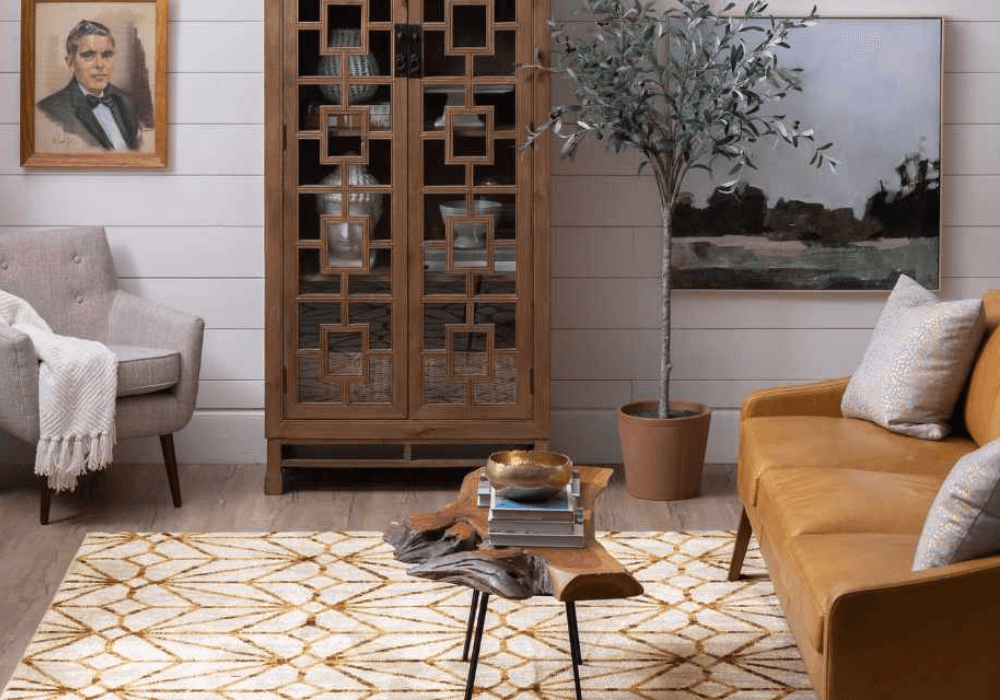 living room rugs