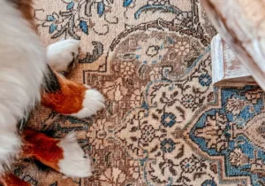 Turkish Rugs Dubai