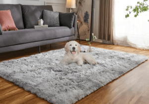 LARGE RUGS DUBAI