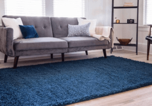 living room rugs