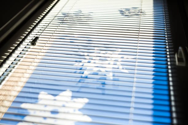 Printed blinds in Dubai