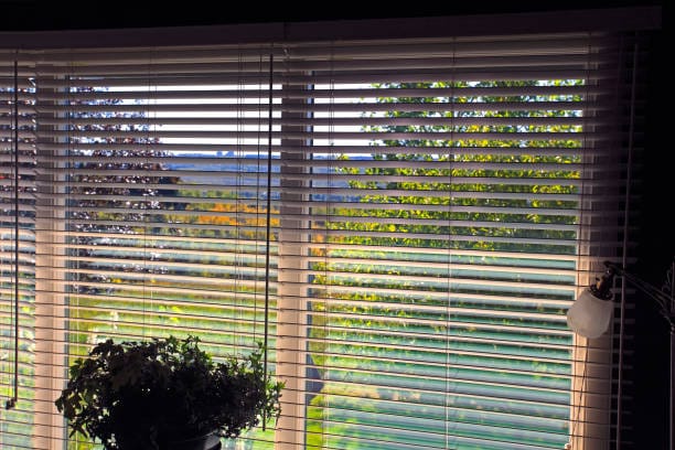 sunscreen roller blinds dubai